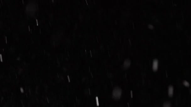 Bonita neve real caindo isolado no fundo preto em câmera lenta 4K, filmado em lente de 50 mm. Imagens não graduadas para compor, gráficos de movimento, flocos de neve grandes e pequenos, neve caída isolada — Vídeo de Stock