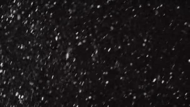 Piękny Prawdziwy spadający śnieg odizolowany na czarnym tle w zwolnionym tempie 4K, nakręcony na obiektywie 50 mm. Nieklasyfikowany materiał do komponowania, grafika ruchoma, duże i małe płatki śniegu, odizolowany padający śnieg — Wideo stockowe