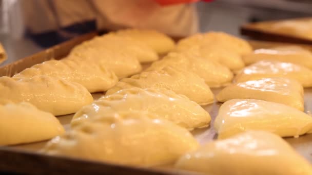 Hornear proceso de producción en la cocina. Cepillar un huevo batido sobre la masa al hornear para la formación de una corteza apetitosa. Bandeja lista para hornear en el horno. cámara lenta 100 fps, vídeo sin clasificar — Vídeos de Stock