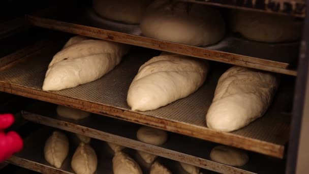 Backprozess in der Fabrik. Bäckereitätigkeit. Prozess der Zubereitung von Brotteig vor dem Backen. Brot im Ofen. Arbeiten in einer Bäckerei Zeitlupe 100 fps. Ungeschicktes Video — Stockvideo