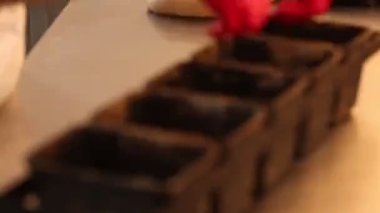 Ekmek pişirme kabında gübre. Fabrikadaki fırın işlemleri. Fırın faaliyeti. Fırında ekmek var. Fırında ağır çekimde çalışmak 100 fps. derecelendirilmemiş video