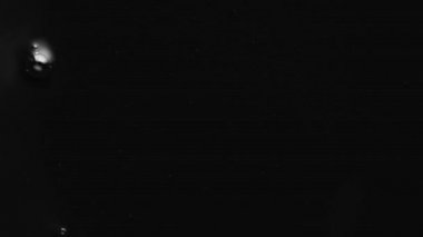 Splashes and drops on the surface of the liquid. Abstract Black Background Water vibration