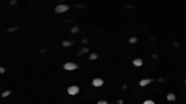 Splashes and drops on the surface of the liquid. Abstract Black Background Water vibration