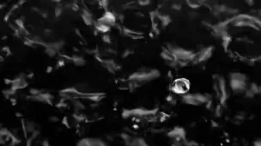 Splashes and drops on the surface of the liquid. Abstract Black Background Water vibration