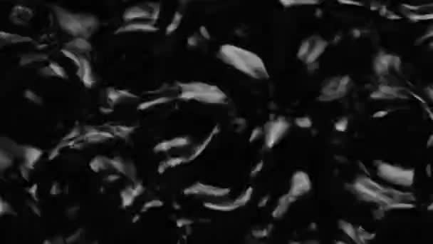 Salpicaduras y gotas en la superficie del líquido. Fondo negro abstracto Vibración del agua — Vídeos de Stock
