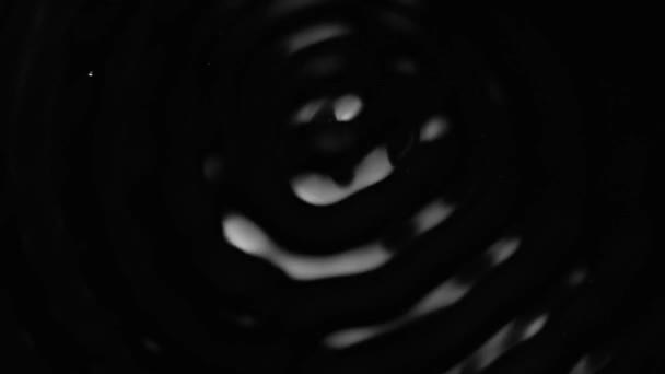 Splashes and drops on the surface of the liquid. Abstract Black Background Water vibration — Wideo stockowe