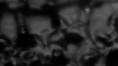 Splashes and drops on the surface of the liquid. Abstract Black Background Water vibration. 4K slow motion 100 fps, ProRes 422, 10 bit
