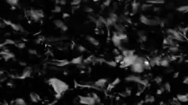 Splashes and drops on the surface of the liquid. Abstract Black Background Water vibration. 4K slow motion 100 fps, ProRes 422, 10 bit