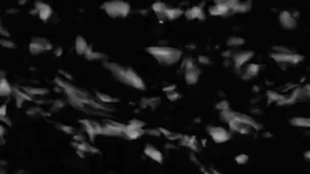 Splashes and drops on the surface of the liquid. Abstract Black Background Water vibration. 4K slow motion 100 fps, ProRes 422, 10 bit — Wideo stockowe