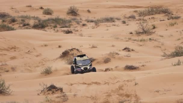 Sport bil för Off Road Extreme Racing får över den svåra delen av rutten under Rally räden i sand. KAGANS GULD-2021. slow motion 120 fps. 25.04.2021 Astrakhan, Ryssland — Stockvideo