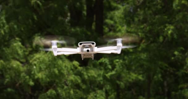 Pequeno helicóptero branco voando no fundo de uma árvore. câmara lenta a 100 fps. vídeo macro não graduado — Vídeo de Stock