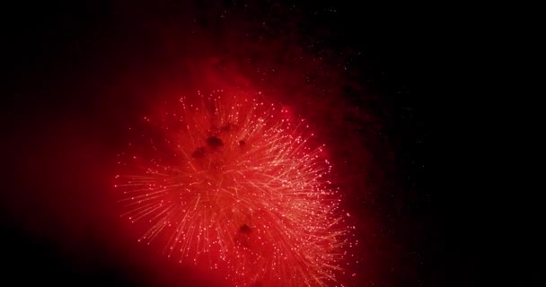 Real Fireworks on Deep Black Background Sky on Fireworks festival show before independence day on 4 of July. Beautiful fireworks show. 4K slow motion 100 fps — Stock Video