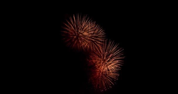 Настоящий фейерверк на Deep Black Background Sky on Fireworks показывают перед Днем независимости 4 июля. Прекрасное фейерверк шоу. 4K slow motion 100 fps — стоковое видео