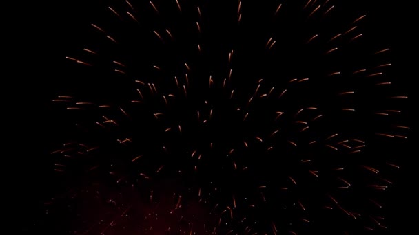 Real Fireworks on Deep Black Background Sky on Fireworks festival show before independence day on 4 of July. Beautiful fireworks show. slow motion 100 fps — Stock Video