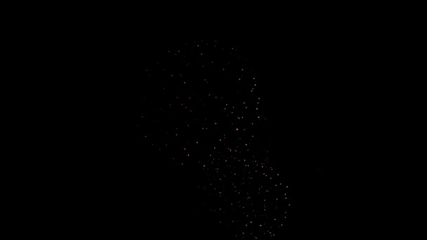 Real Fireworks on Deep Black Background Sky on Fireworks festival show before independence day on 4 de julio. Hermoso espectáculo de fuegos artificiales. cámara lenta 100 fps — Vídeo de stock