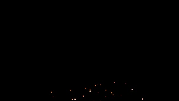 Fogos de artifício reais em Deep Black Background Sky no show do festival de fogos de artifício antes do dia da independência em 4 de julho. Belo espectáculo de fogos de artifício. câmera lenta 100 fps — Vídeo de Stock