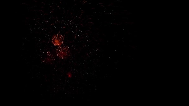 Riktiga fyrverkerier på djup svart bakgrund Sky på fyrverkerier festival show före självständighetsdagen den 4 juli. Vackert fyrverkeri. slow motion 100 fps — Stockvideo