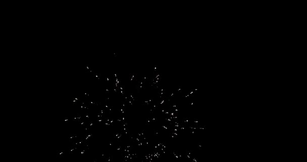 Αληθινά Πυροτεχνήματα σε Deep Black Background Sky on Fireworks festival show before independence day on 4 Ιουλίου. Ωραίο σόου πυροτεχνημάτων. 4K αργή κίνηση 100 fps — Αρχείο Βίντεο