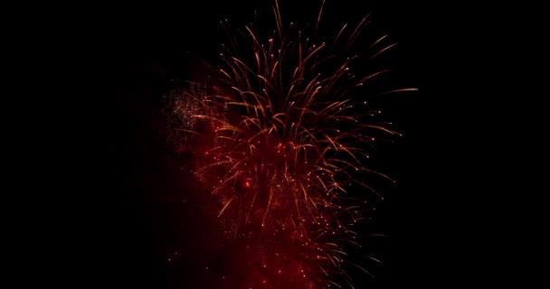 Véritables feux d'artifice sur fond noir profond Spectacle du festival Sky on Fireworks avant la fête de l'indépendance le 4 juillet. Beau feu d'artifice. 4K au ralenti 100 ips — Video