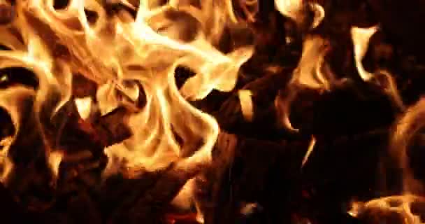 Brasan, Real Flames Ignited On A Black Bakgrund. Riktig eld. 4K slow motion 120 fps video — Stockvideo