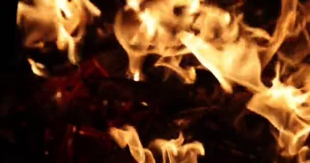 Oheň, skutečné plameny vzplanuly na černém pozadí. Skutečný oheň. 4K zpomalení 120 fps video — Stock video