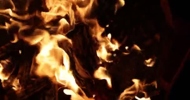 Φωτιά στη φωτιά, αληθινές φλόγες άναψαν σε μαύρο φόντο. Αληθινή φωτιά. 4K αργή κίνηση 120 fps βίντεο — Αρχείο Βίντεο