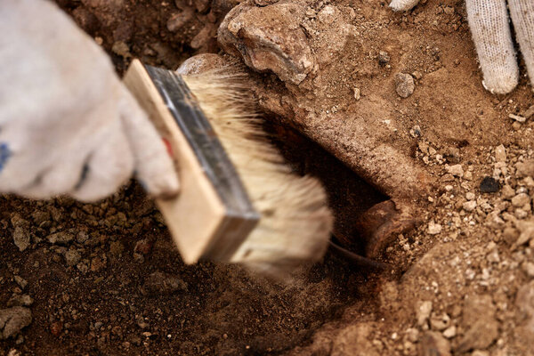 Archaeological excavations, Work of the search team at the site of a mass shooting of people. Human remains bones of skeleton, skulls in the ground tomb. Real human remains of victims of the Nazis