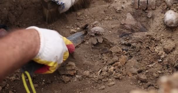 Escavações arqueológicas, Trabalho da equipe de busca no local de um tiroteio em massa de pessoas. Restos humanos ossos de esqueleto, crânios no túmulo do chão. Restos humanos reais das vítimas dos nazis — Vídeo de Stock