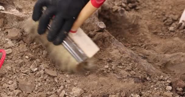 Excavaciones arqueológicas, trabajo del equipo de búsqueda en el sitio de un tiroteo masivo de personas. Restos humanos huesos de esqueleto, cráneos en la tumba del suelo. Restos humanos reales de víctimas de los nazis — Vídeos de Stock