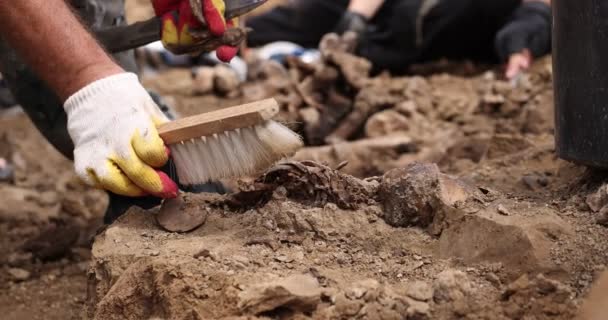 Excavaciones arqueológicas, trabajo del equipo de búsqueda en el sitio de un tiroteo masivo de personas. Restos humanos huesos de esqueleto, cráneos en la tumba del suelo. Restos humanos reales de víctimas de los nazis — Vídeo de stock