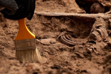 Arkeolojik kazılar, arama ekibinin toplu katliam yapılan yerde çalışması. Mezarda insan kalıntıları (iskelet kemikleri, kafatasları). Nazilerin kurbanlarının gerçek kalıntıları..