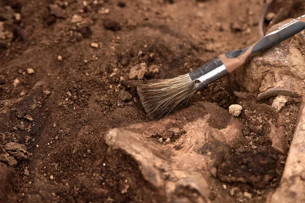 Excavaciones Arqueológicas Trabajo Del Equipo Búsqueda Sitio Tiroteo Masivo Personas Imagen de archivo