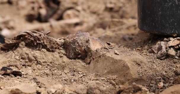 Fouilles archéologiques, Travaux de l'équipe de recherche sur le site d'une fusillade massive de personnes. restes humains ossements de squelette, crânes dans le tombeau au sol. Véritables restes humains de victimes des nazis — Video