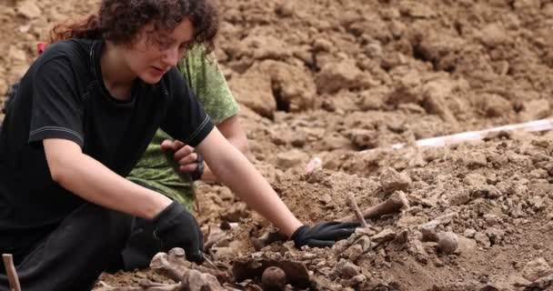 Arbeit des Suchteams am Ort einer Massenerschießung von Menschen. Menschliche Überreste von Skeletten, Schädel in der Erde. Opfer der Nazis. 28.08.2021, Gebiet Rostow, Russland — Stockvideo