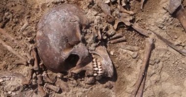 Toprağın altındaki insanların kafatasları ve kemikleri, toplu katliamların yapıldığı yerde arama ekibinin çalışması. İskelet kalıntıları, yer kabri. Nazilerin kurbanlarının gerçek kalıntıları.