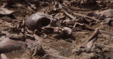 Toprağın altındaki insanların kafatasları ve kemikleri, toplu katliamların yapıldığı yerde arama ekibinin çalışması. İskelet kalıntıları, yer kabri. Nazilerin kurbanlarının gerçek kalıntıları.