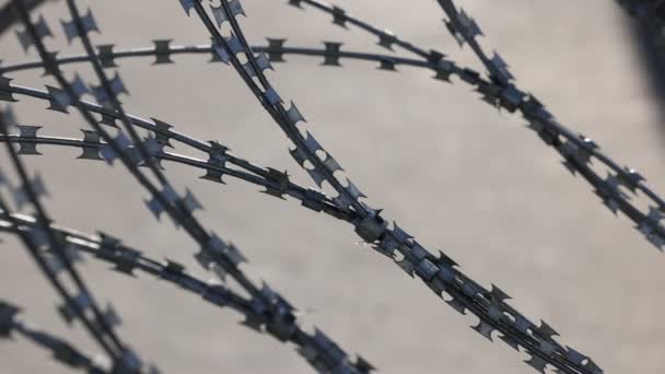 Barbed wire with sharp spikes, blades. A spiral of barbed tape. An element of the security zone. Part of the security perimeter — Stock Video