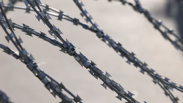 Barbed wire with sharp spikes, blades. A spiral of barbed tape. An element of the security zone. Part of the security perimeter — Stock Video