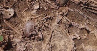 Toprağın altındaki insanların kafatasları ve kemikleri, toplu katliamların yapıldığı yerde arama ekibinin çalışması. İskelet kalıntıları, yer kabri. Nazilerin kurbanlarının gerçek kalıntıları.