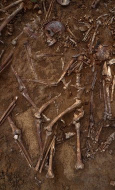 Topraktaki insan kalıntılarının en üst görüntüsü. Savaş suçu mahalli. Toplu katliam yapılan bir yer. İskelet kalıntıları, kafatasları. Nazilerin kurbanlarının insan kalıntıları.