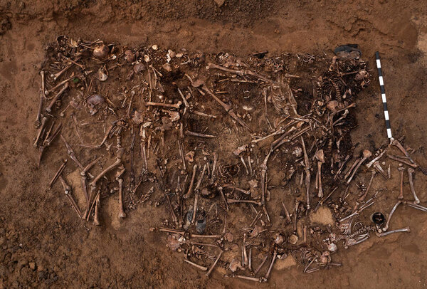 Top view of human remains in the ground. War crime scene. Site of a mass shooting of people. Human remains bones of skeleton, skulls . Human remains of victims of the Nazis