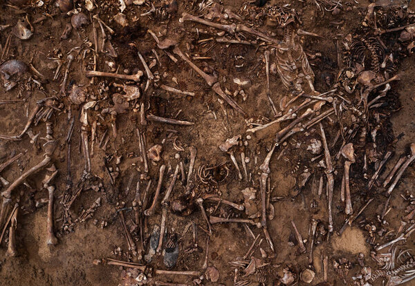 Top view of human remains in the ground. War crime scene. Site of a mass shooting of people. Human remains bones of skeleton, skulls . Human remains of victims of the Nazis