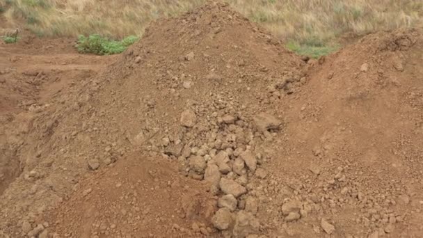 Escavações no local de um crime de guerra. Local de um tiroteio em massa de pessoas. Restos humanos ossos de esqueleto, crânios. Restos humanos de vítimas dos nazis. 28.08.2021, região de Rostov, Rússia — Vídeo de Stock