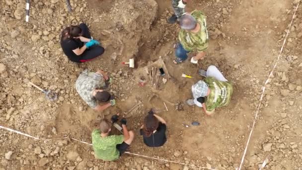 Excavaciones en el lugar de un crimen de guerra. Lugar de un tiroteo masivo de personas. Restos humanos huesos de esqueleto, cráneos. Restos humanos de víctimas de los nazis. 28.08.2021, Región de Rostov, Rusia — Vídeos de Stock