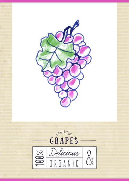 葡萄酒标签与手工绘制的葡萄 — 图库矢量图片
