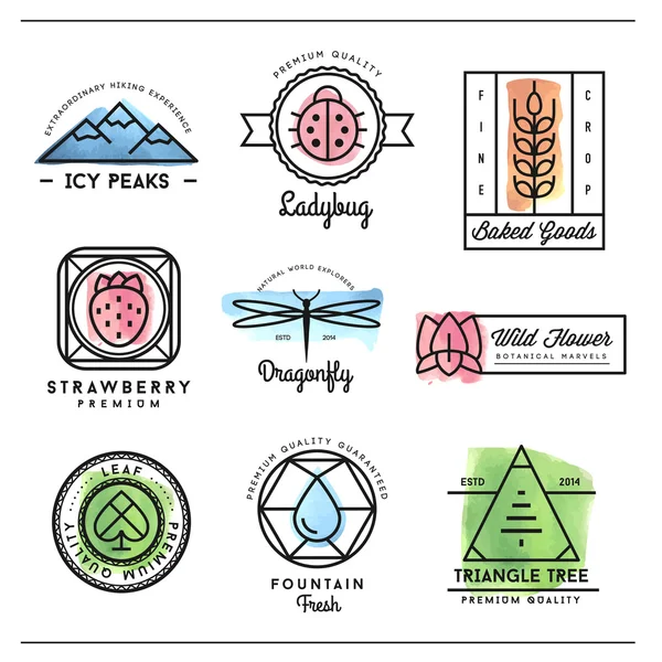 Ensemble de magnifiques logos et badges géométriques à l'aquarelle inspirés de la nature — Image vectorielle