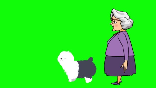Animace Staré Ženy Kráčející Roztomilým Psem Klip Vysokém Rozlišení Zeleným — Stock video