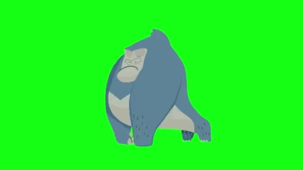 怒りの表情でゴリラウォークサイクルアニメーション 緑の画面の背景を持つビデオクリップ — ストック動画