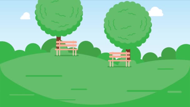 Animation Beautiful Grass Meadow Park Trees Benches Bushes Panorama View — Stock Video