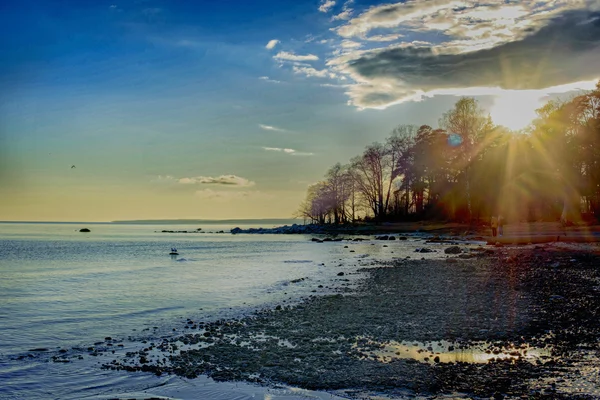 Sunset on the sea shore — Stock Photo, Image